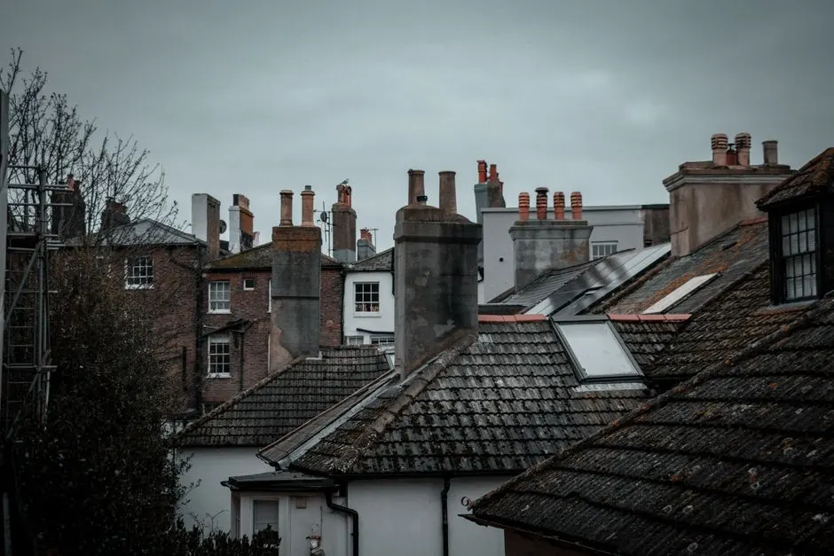 Experienced Chimney repair professionals at work